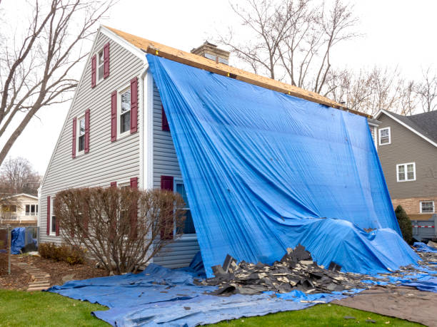 Best Brick Veneer Siding  in Muscle Shos, AL