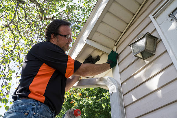 Best Siding Painting and Refinishing  in Muscle Shos, AL